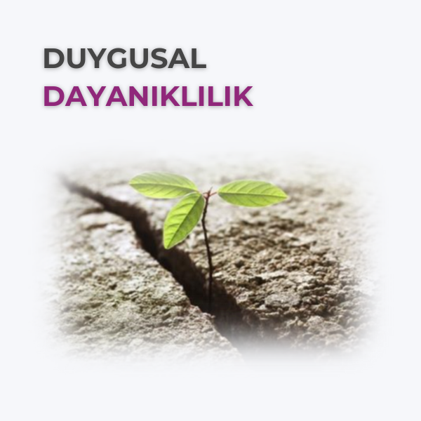 DUYGUSAL DAYANIKLILIK