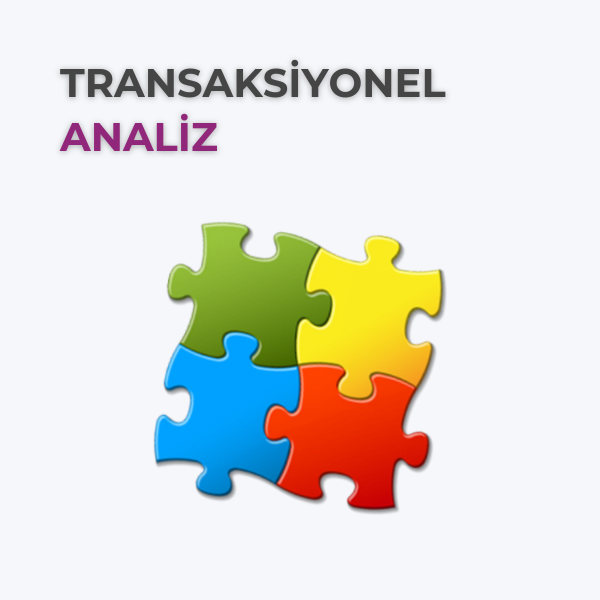 TRANSAKSİYONEL ANALİZ